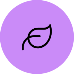 A purple circle with an e in it